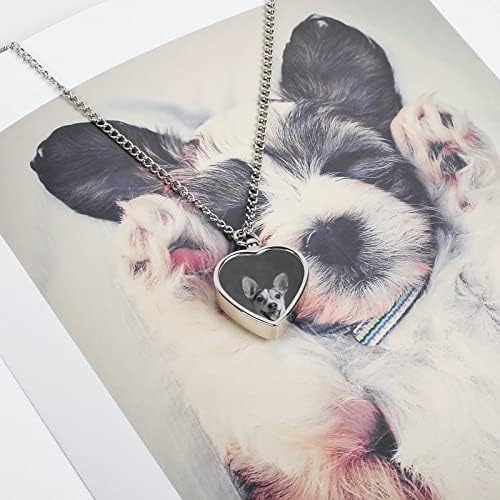 Portré Egy Jack Russell Terrier Kutya Hamvak Urnában Nyaklánc Macska Hamvasztás Ékszerek Emlékmű Emlék